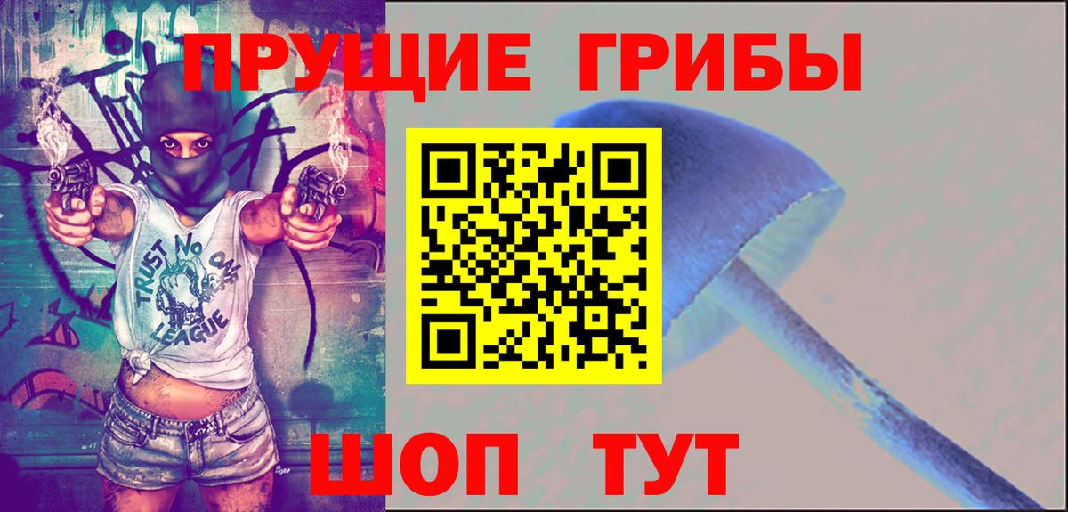 Псилоцибиновые грибы Psilocybe Нарткала